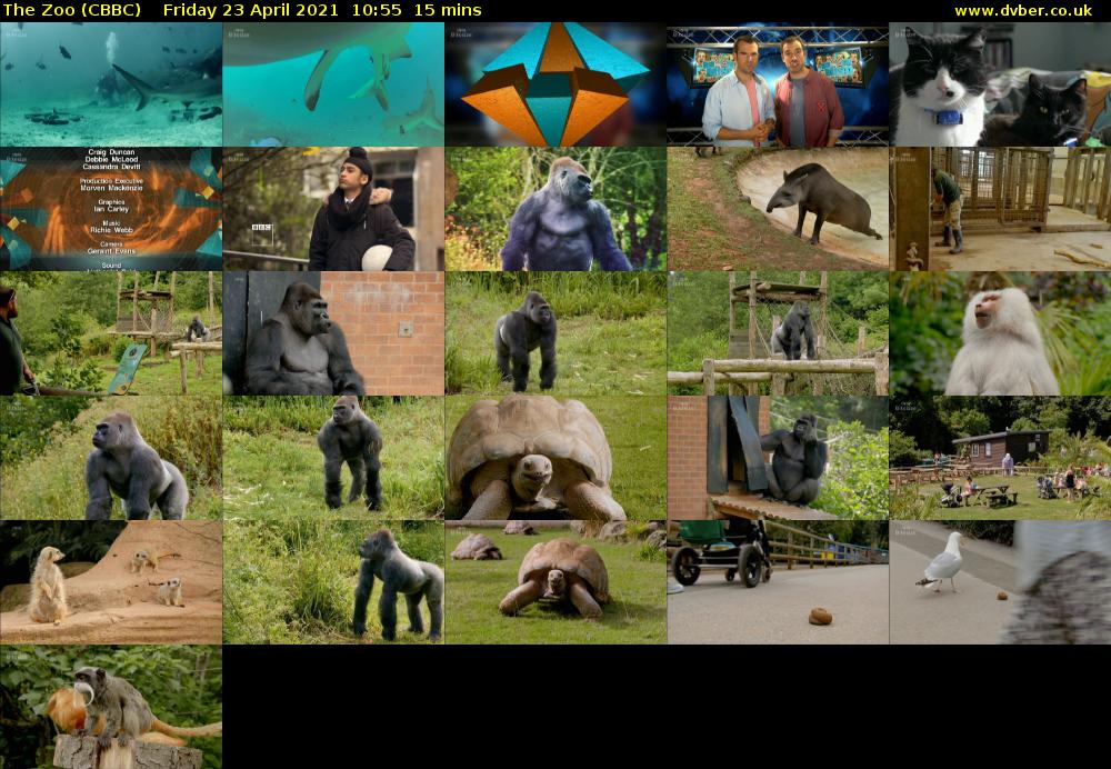 The Zoo (CBBC) Friday 23 April 2021 10:55 - 11:10