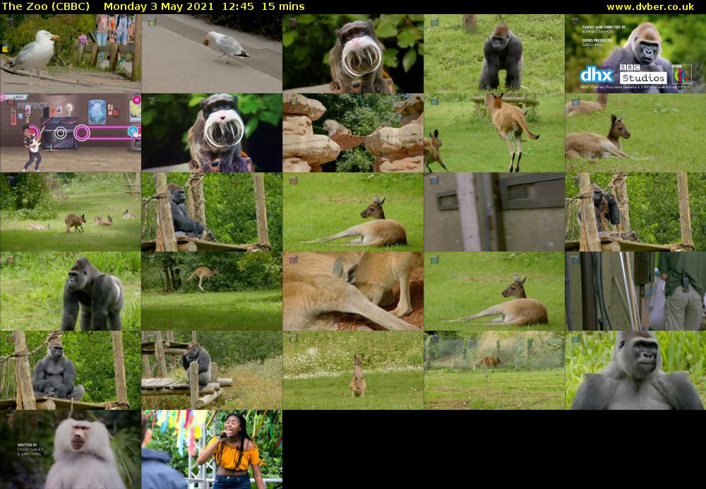 The Zoo (CBBC) Monday 3 May 2021 12:45 - 13:00