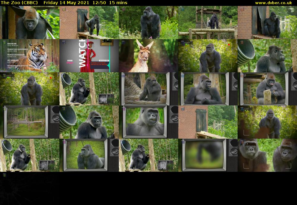 The Zoo (CBBC) Friday 14 May 2021 12:50 - 13:05