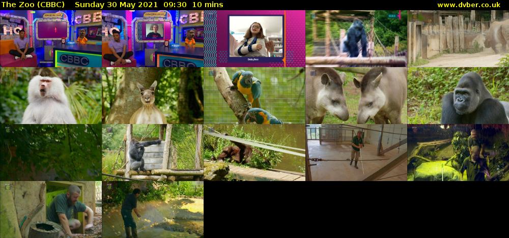 The Zoo (CBBC) Sunday 30 May 2021 09:30 - 09:40