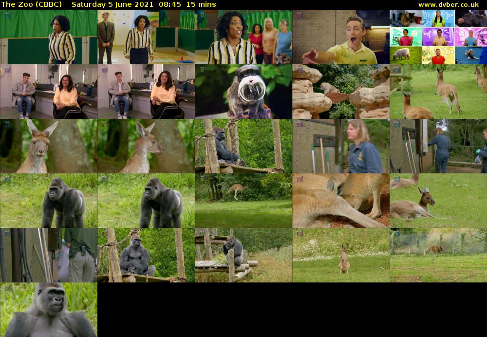 The Zoo (CBBC) Saturday 5 June 2021 08:45 - 09:00