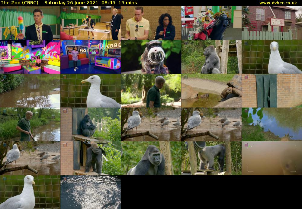 The Zoo (CBBC) Saturday 26 June 2021 08:45 - 09:00