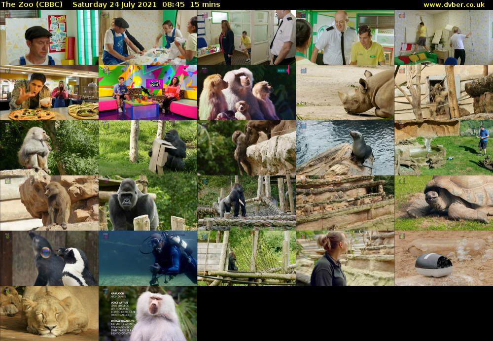 The Zoo (CBBC) Saturday 24 July 2021 08:45 - 09:00