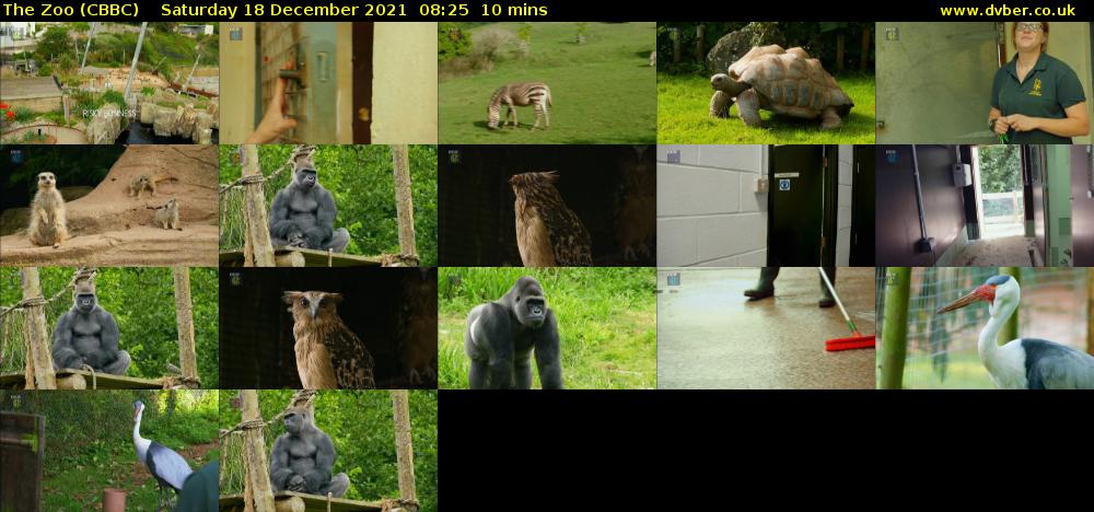 The Zoo (CBBC) Saturday 18 December 2021 08:25 - 08:35
