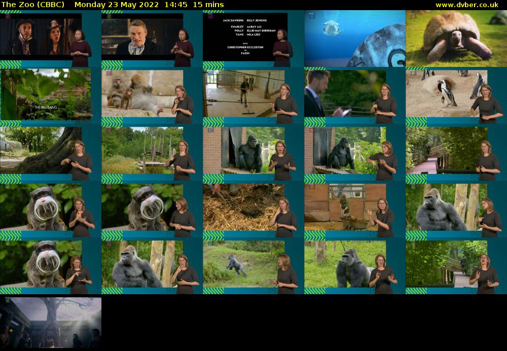 The Zoo (CBBC) Monday 23 May 2022 14:45 - 15:00