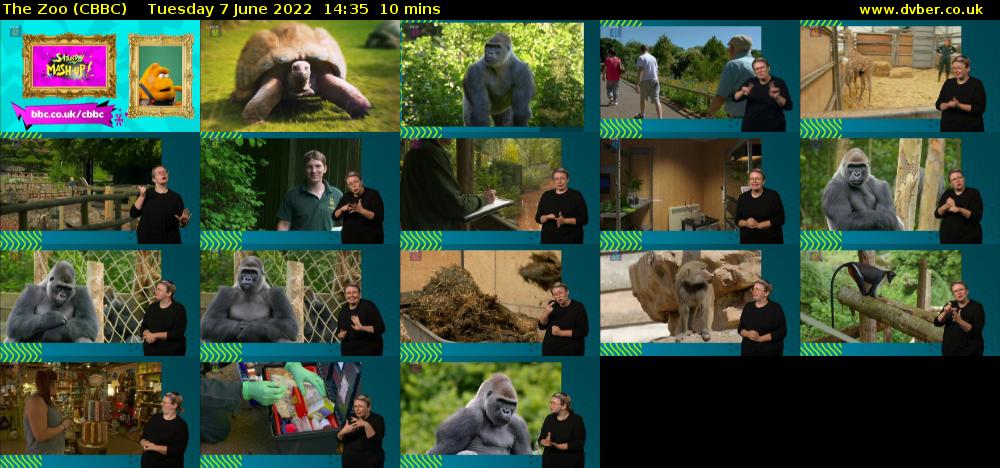The Zoo (CBBC) Tuesday 7 June 2022 14:35 - 14:45