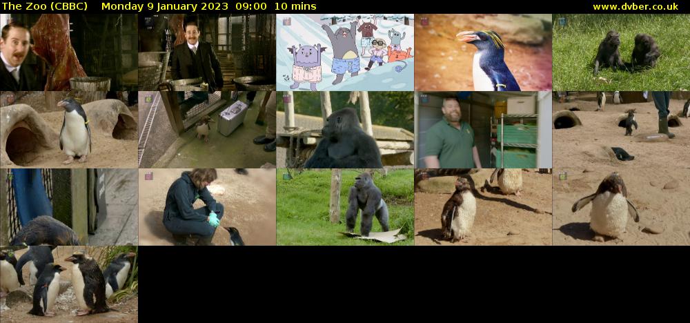 The Zoo (CBBC) Monday 9 January 2023 09:00 - 09:10
