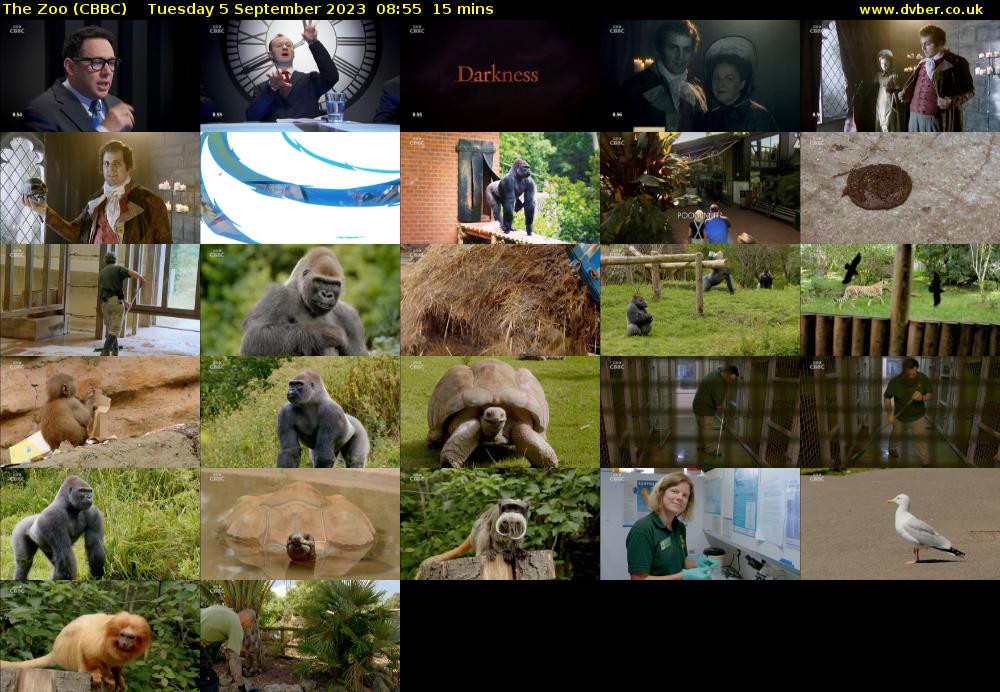 The Zoo (CBBC) Tuesday 5 September 2023 08:55 - 09:10