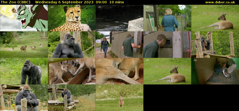 The Zoo (CBBC) Wednesday 6 September 2023 09:00 - 09:10
