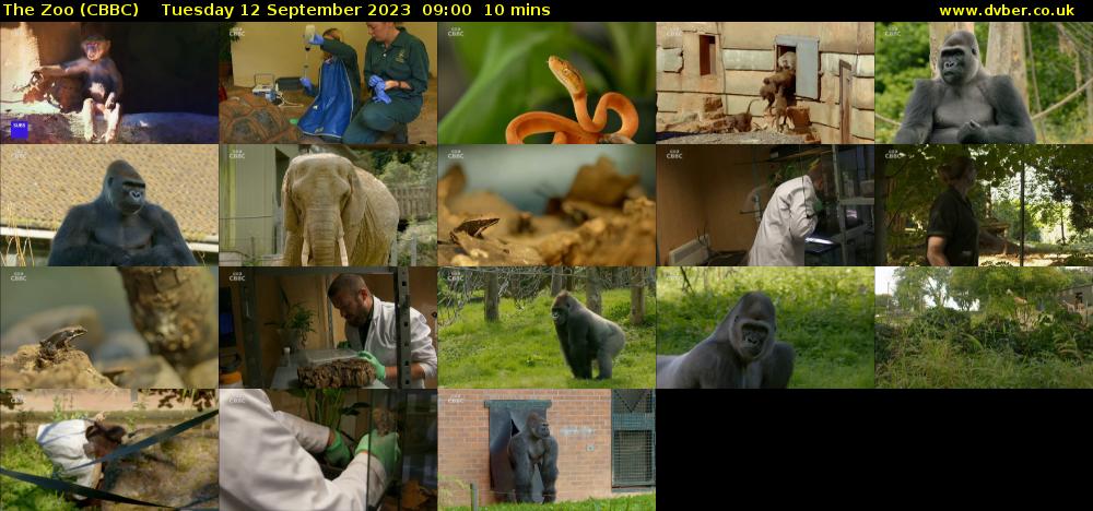 The Zoo (CBBC) Tuesday 12 September 2023 09:00 - 09:10