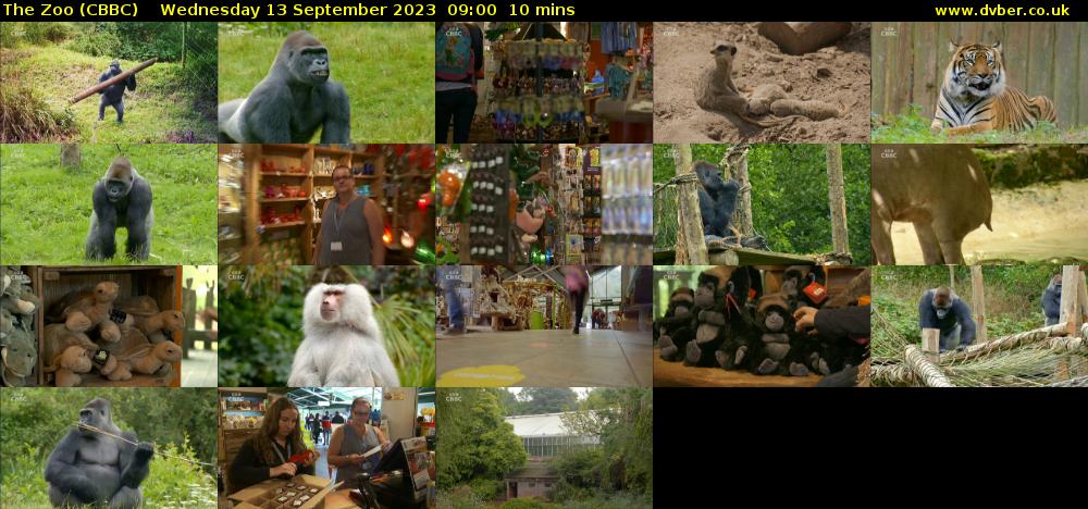 The Zoo (CBBC) Wednesday 13 September 2023 09:00 - 09:10