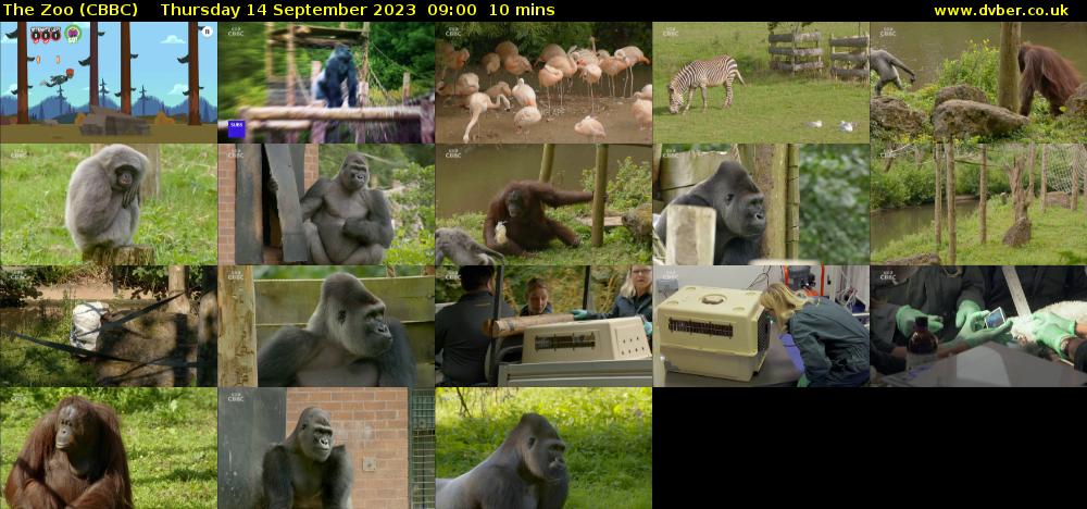 The Zoo (CBBC) Thursday 14 September 2023 09:00 - 09:10