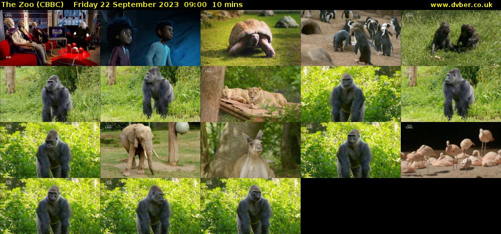 The Zoo (CBBC) Friday 22 September 2023 09:00 - 09:10
