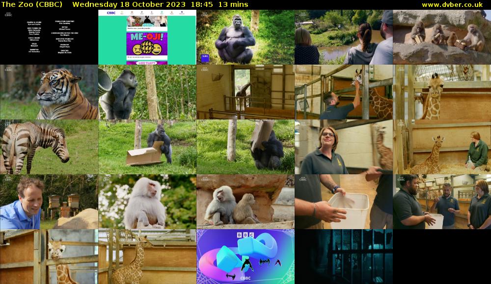 The Zoo (CBBC) Wednesday 18 October 2023 18:45 - 18:58