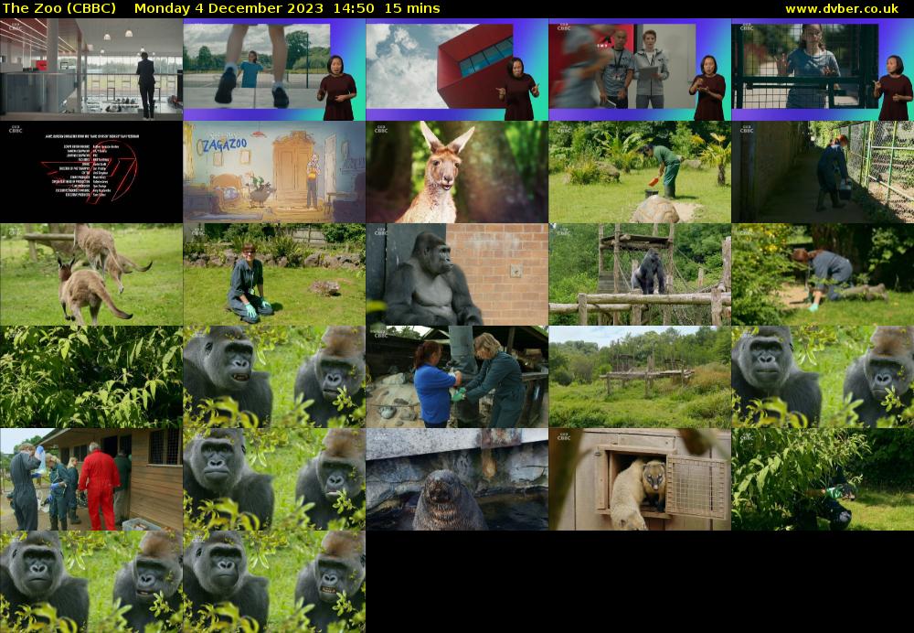 The Zoo (CBBC) Monday 4 December 2023 14:50 - 15:05
