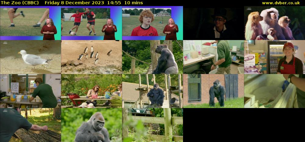 The Zoo (CBBC) Friday 8 December 2023 14:55 - 15:05