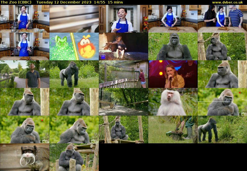 The Zoo (CBBC) Tuesday 12 December 2023 14:55 - 15:10