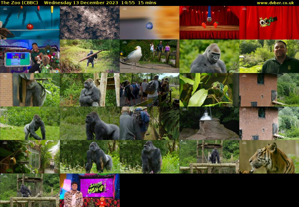 The Zoo (CBBC) Wednesday 13 December 2023 14:55 - 15:10