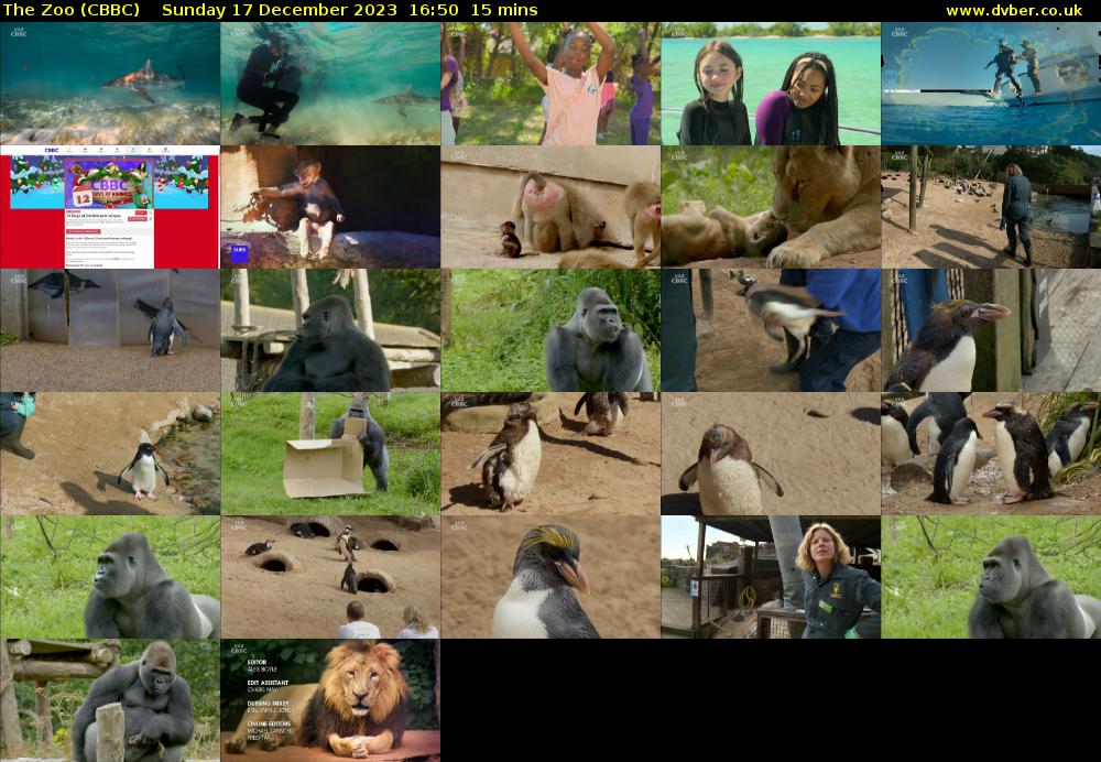 The Zoo (CBBC) Sunday 17 December 2023 16:50 - 17:05