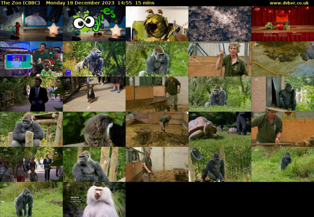The Zoo (CBBC) Monday 18 December 2023 14:55 - 15:10