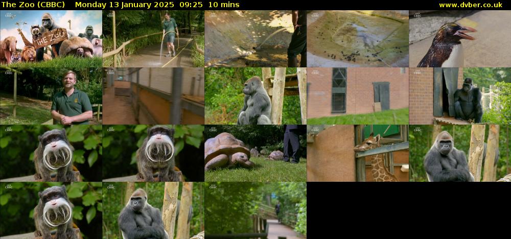 The Zoo (CBBC) Monday 13 January 2025 09:25 - 09:35