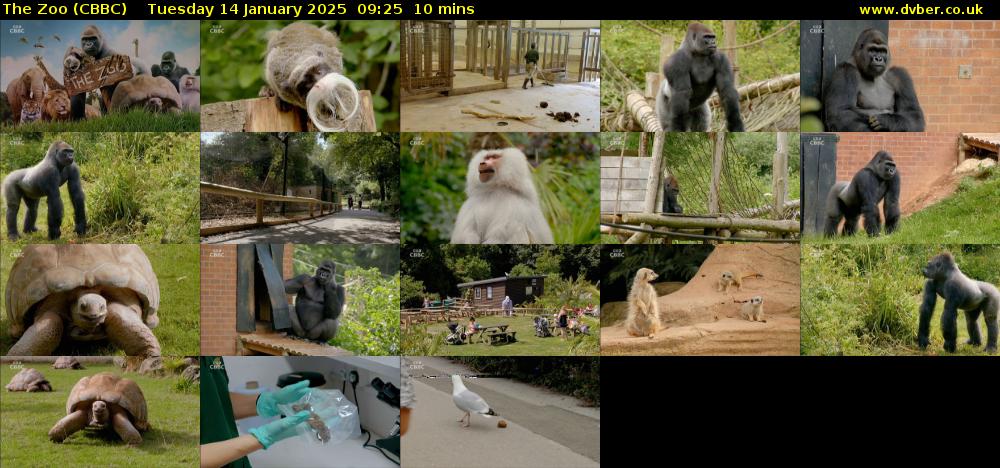 The Zoo (CBBC) Tuesday 14 January 2025 09:25 - 09:35