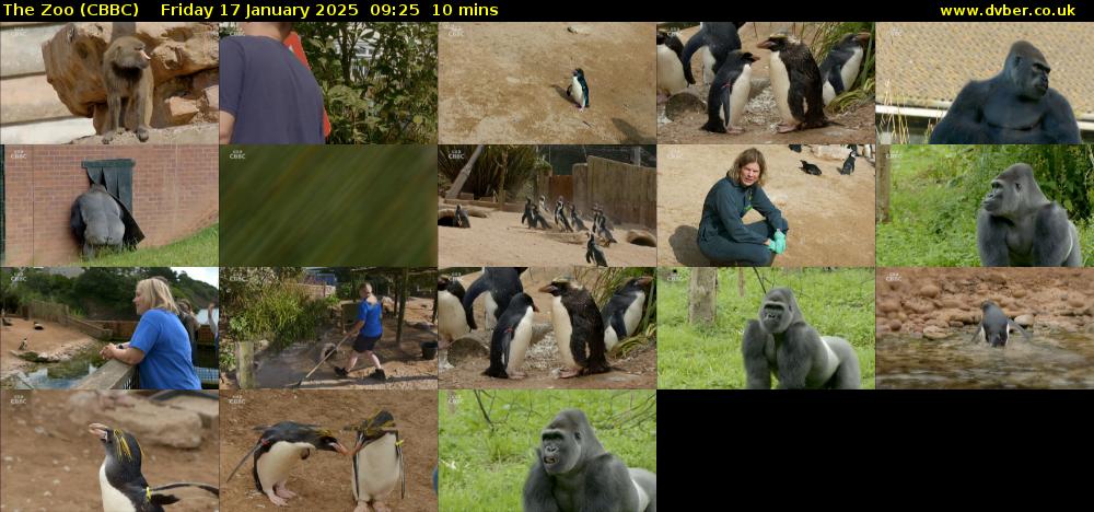 The Zoo (CBBC) Friday 17 January 2025 09:25 - 09:35