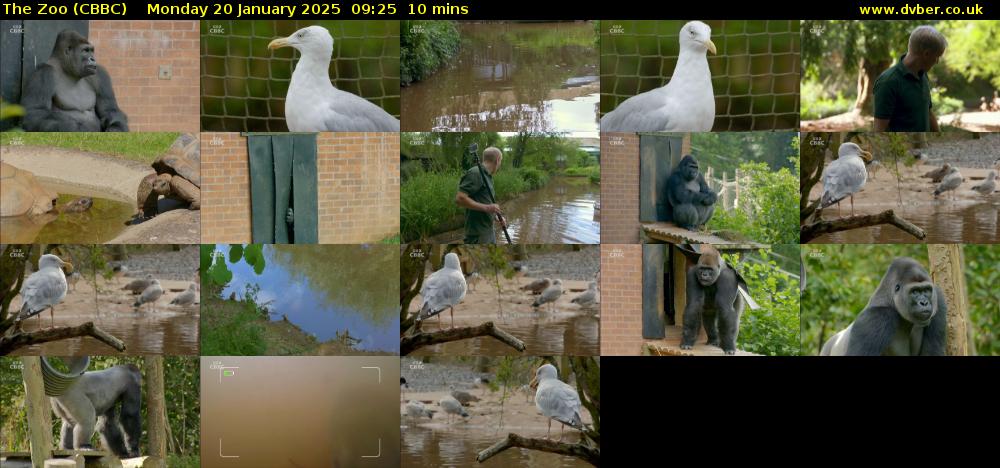 The Zoo (CBBC) Monday 20 January 2025 09:25 - 09:35