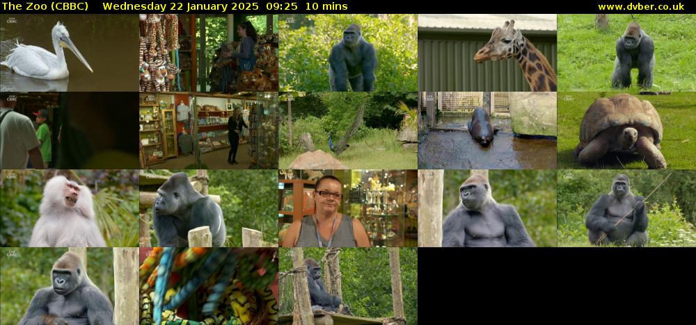 The Zoo (CBBC) Wednesday 22 January 2025 09:25 - 09:35