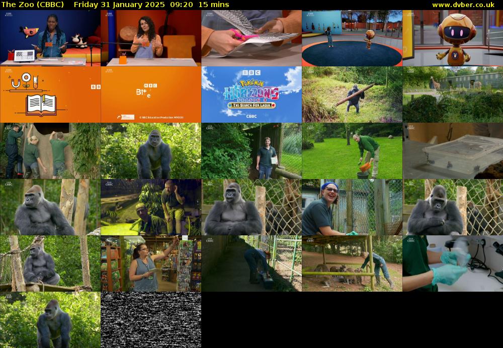 The Zoo (CBBC) Friday 31 January 2025 09:20 - 09:35