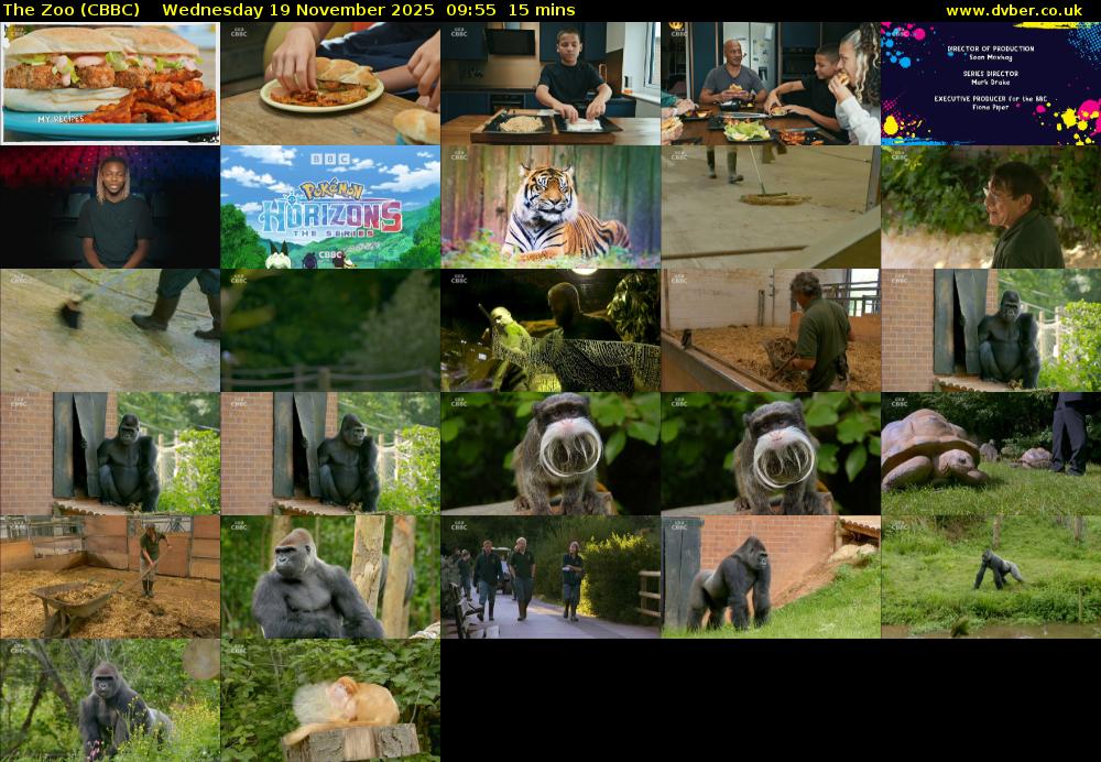 The Zoo (CBBC) Wednesday 19 November 2025 09:55 - 10:10