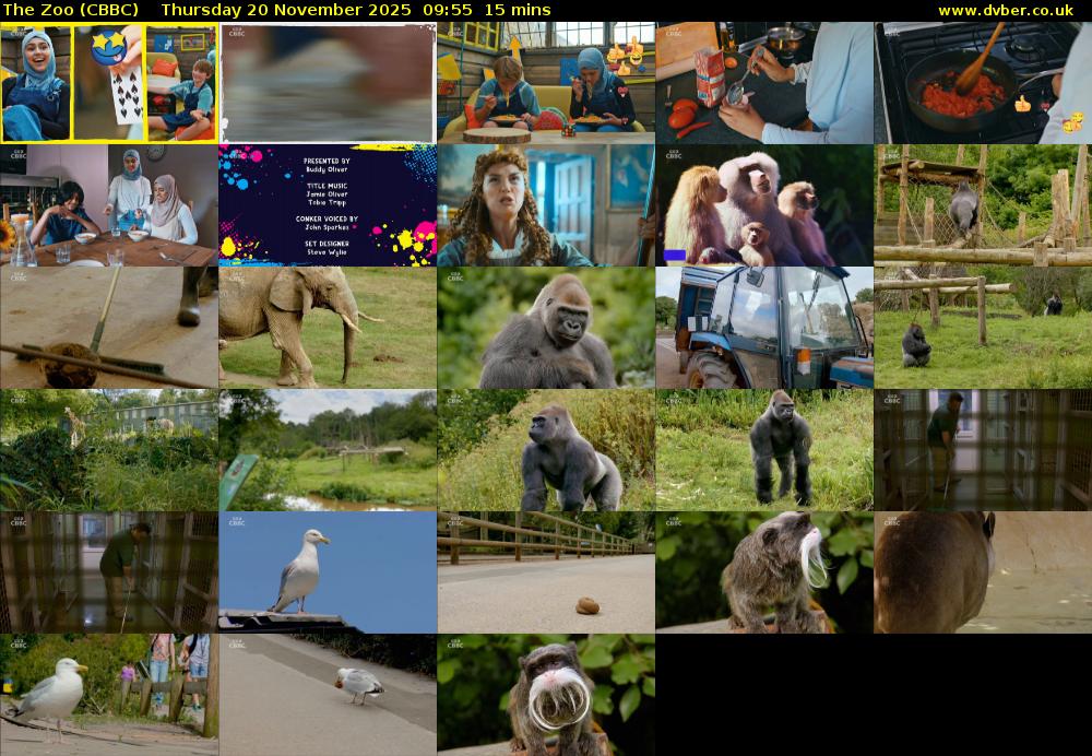 The Zoo (CBBC) Thursday 20 November 2025 09:55 - 10:10