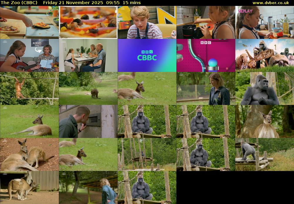 The Zoo (CBBC) Friday 21 November 2025 09:55 - 10:10