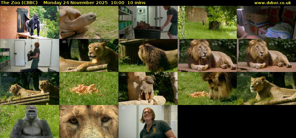 The Zoo (CBBC) Monday 24 November 2025 10:00 - 10:10