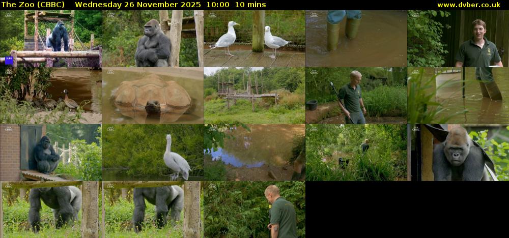 The Zoo (CBBC) Wednesday 26 November 2025 10:00 - 10:10