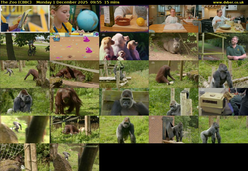 The Zoo (CBBC) Monday 1 December 2025 09:55 - 10:10