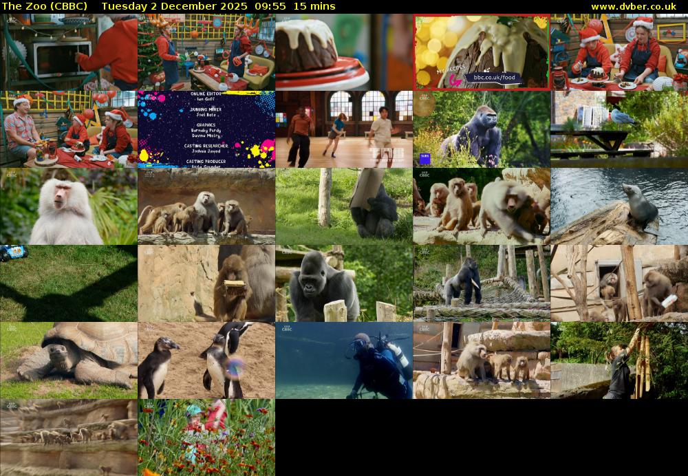 The Zoo (CBBC) Tuesday 2 December 2025 09:55 - 10:10