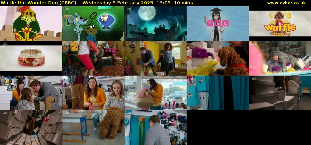 Waffle the Wonder Dog (CBBC) Wednesday 5 February 2025 13:05 - 13:15