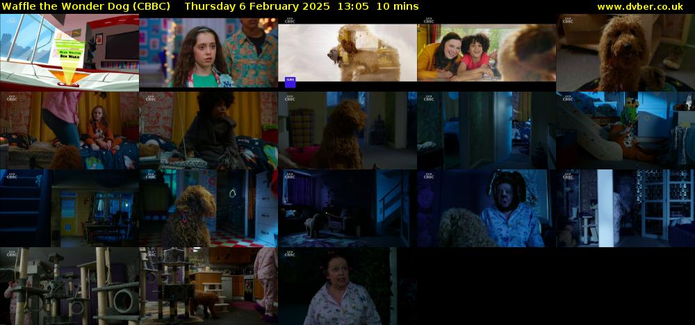 Waffle the Wonder Dog (CBBC) Thursday 6 February 2025 13:05 - 13:15