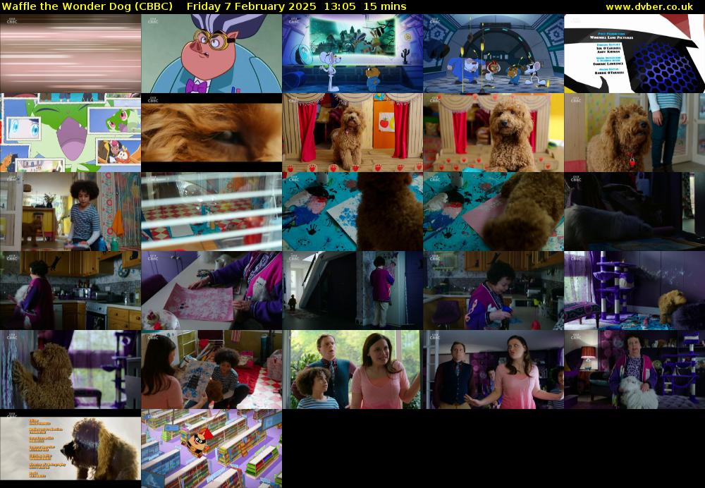 Waffle the Wonder Dog (CBBC) Friday 7 February 2025 13:05 - 13:20