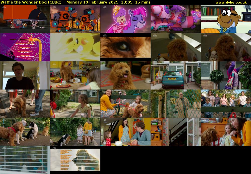 Waffle the Wonder Dog (CBBC) Monday 10 February 2025 13:05 - 13:20