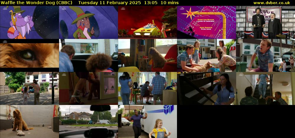 Waffle the Wonder Dog (CBBC) Tuesday 11 February 2025 13:05 - 13:15