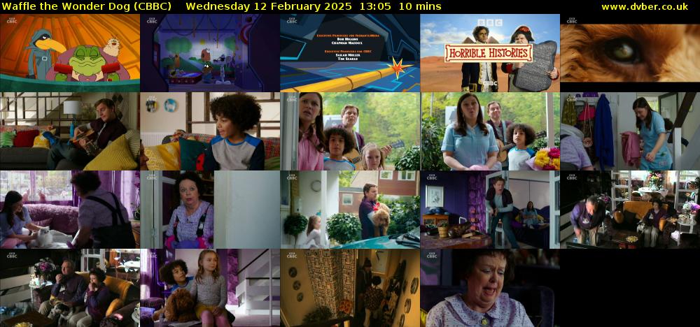 Waffle the Wonder Dog (CBBC) Wednesday 12 February 2025 13:05 - 13:15