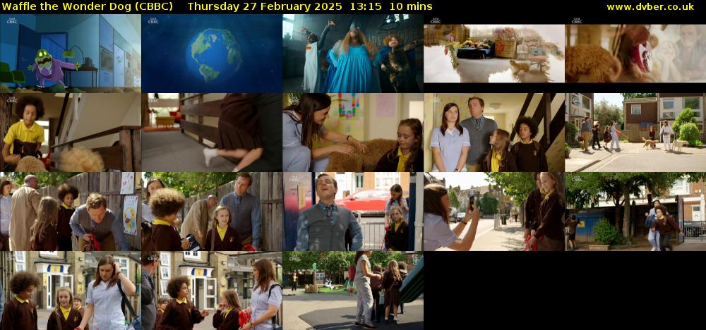 Waffle the Wonder Dog (CBBC) Thursday 27 February 2025 13:15 - 13:25