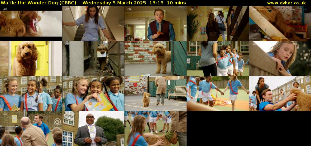 Waffle the Wonder Dog (CBBC) Wednesday 5 March 2025 13:15 - 13:25