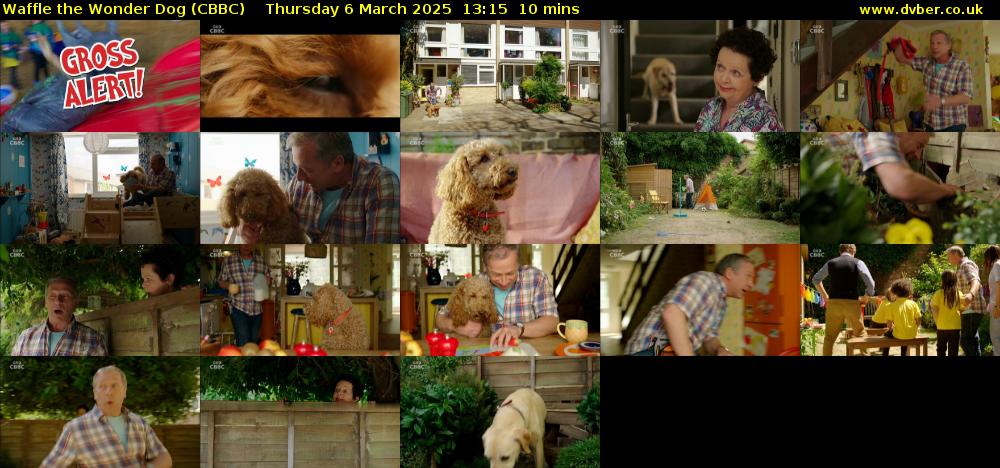 Waffle the Wonder Dog (CBBC) Thursday 6 March 2025 13:15 - 13:25