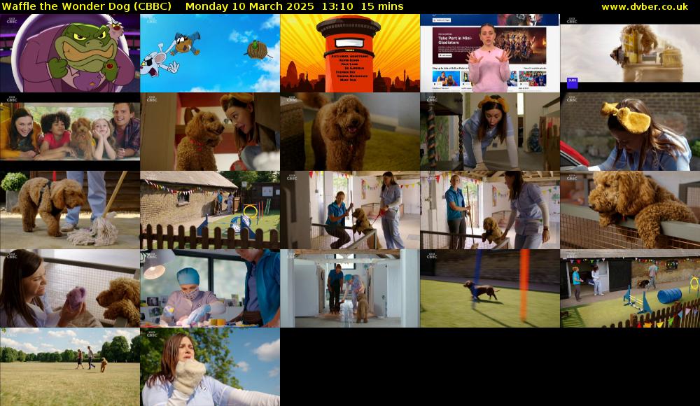 Waffle the Wonder Dog (CBBC) Monday 10 March 2025 13:10 - 13:25