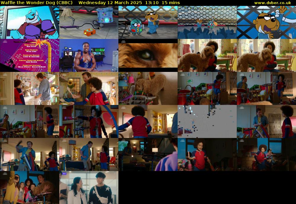 Waffle the Wonder Dog (CBBC) Wednesday 12 March 2025 13:10 - 13:25