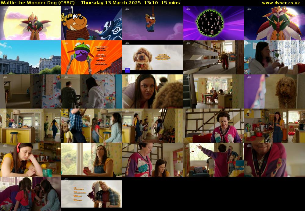 Waffle the Wonder Dog (CBBC) Thursday 13 March 2025 13:10 - 13:25