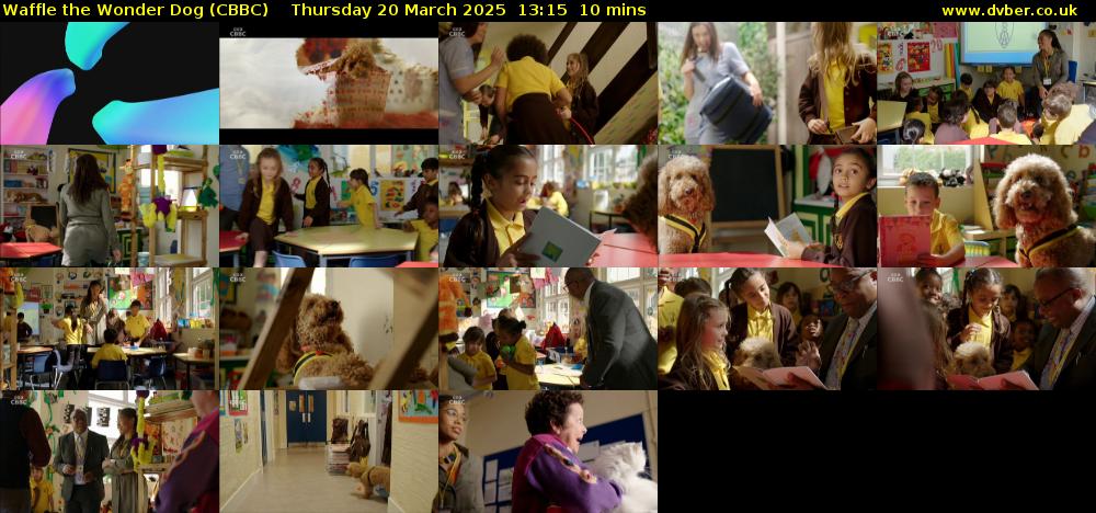 Waffle the Wonder Dog (CBBC) Thursday 20 March 2025 13:15 - 13:25